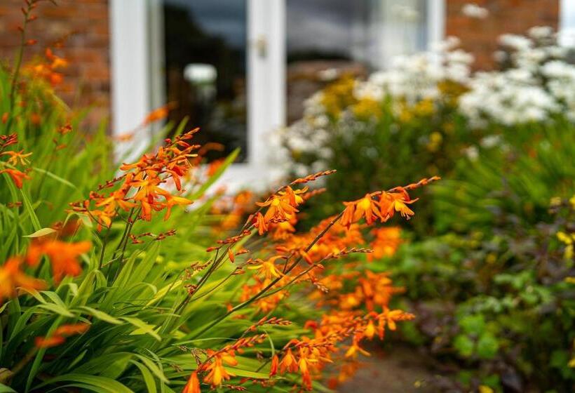 ベッドアンドブレックファースト Higher Farm