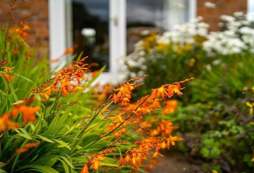 Aamiaismajoitus (B&B) Higher Farm