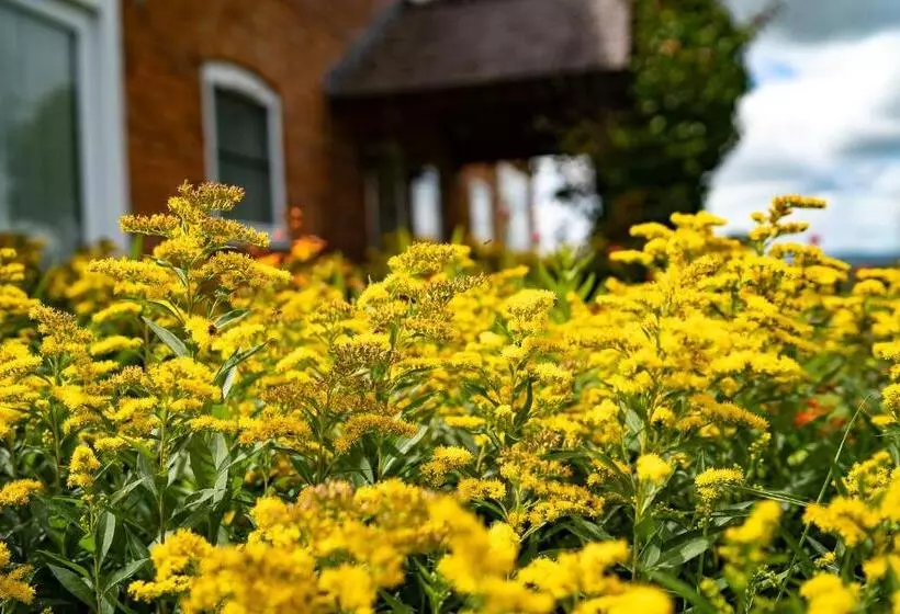 Aamiaismajoitus (B&B) Higher Farm