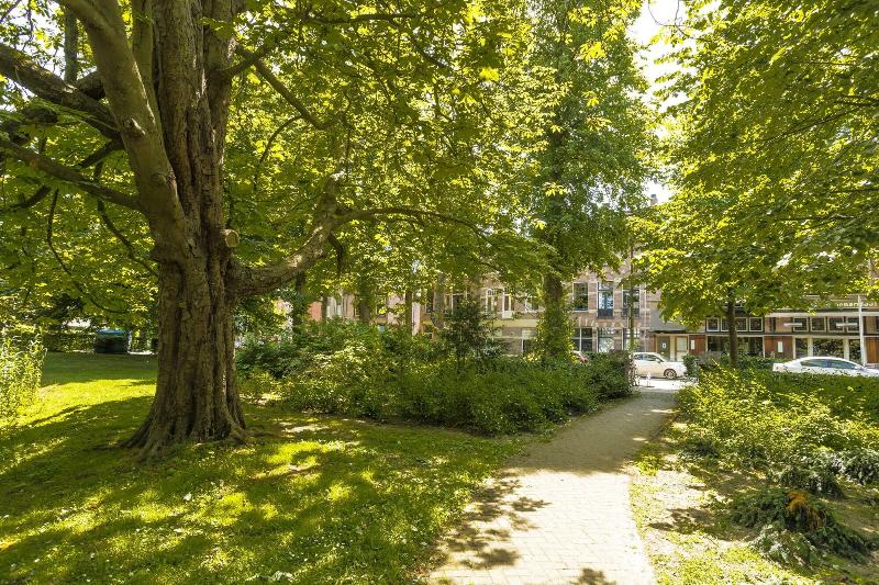 فندق Bloemendaal Suites