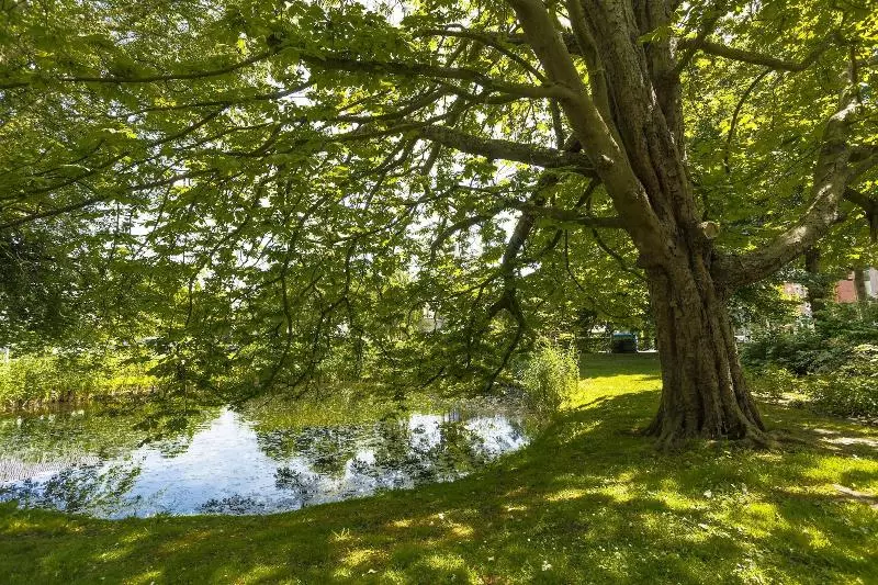 ホテル Bloemendaal Suites
