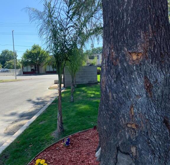 モーテル The Greens Hotel On Stockton