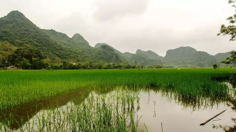 پانسیون Ninh Binh Greenland Homestay