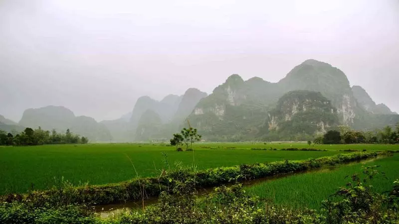 پانسیون Ninh Binh Greenland Homestay
