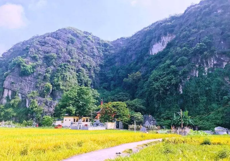 پانسیون Ninh Binh Greenland Homestay