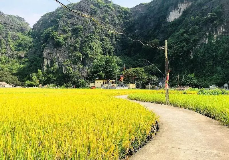 پانسیون Ninh Binh Greenland Homestay