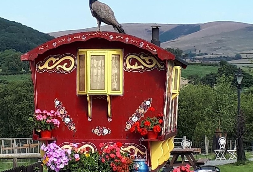 Rosie Traditional Gypsy Wagon