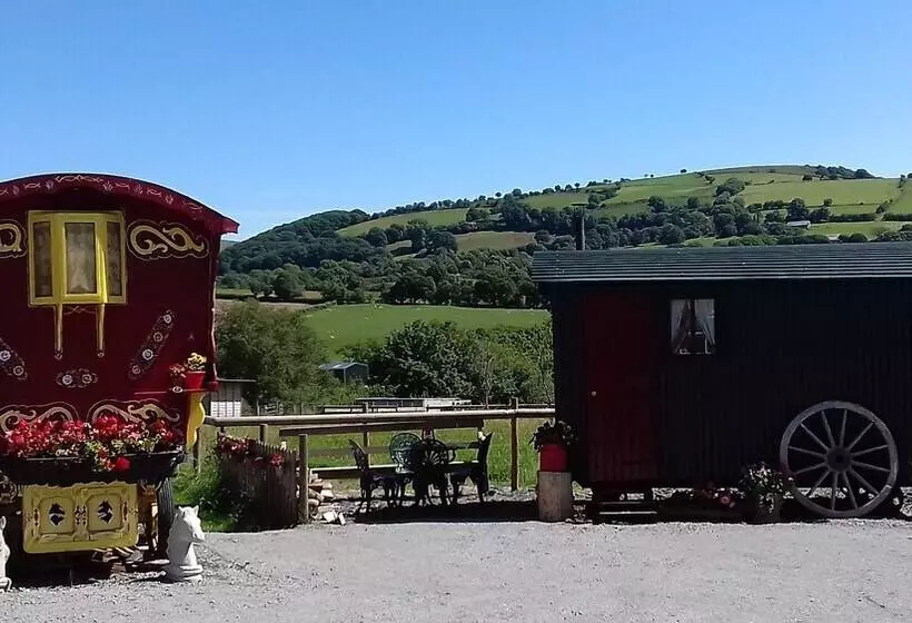 Rosie Traditional Gypsy Wagon