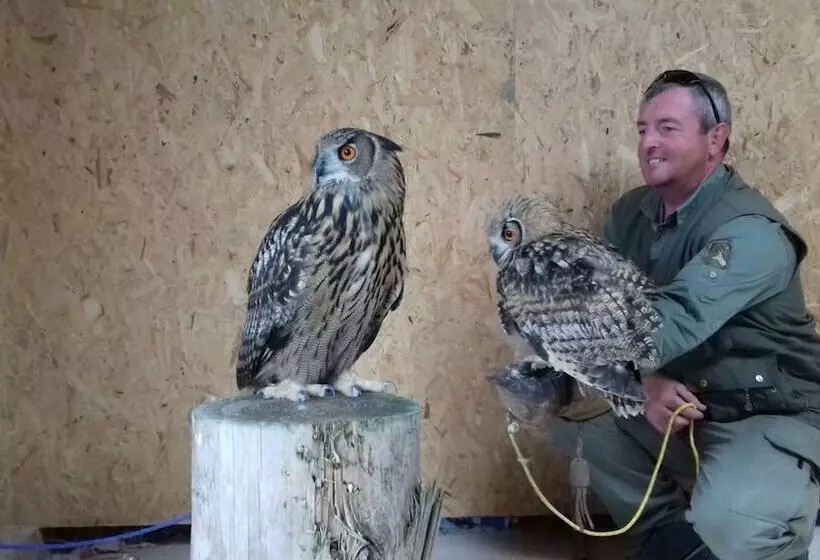 Rosie Traditional Gypsy Wagon