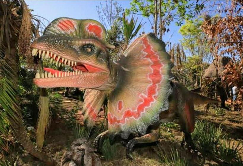 Olimpia Park Resort  Resort Em Olimpia