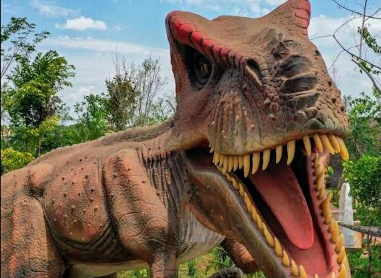 Olimpia Park Resort  Resort Em Olimpia