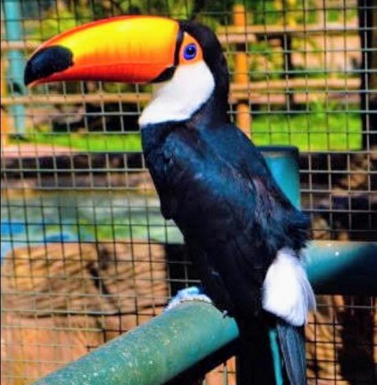 Olimpia Park Resort  Resort Em Olimpia