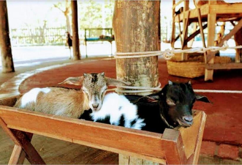 Olimpia Park Resort  Resort Em Olimpia