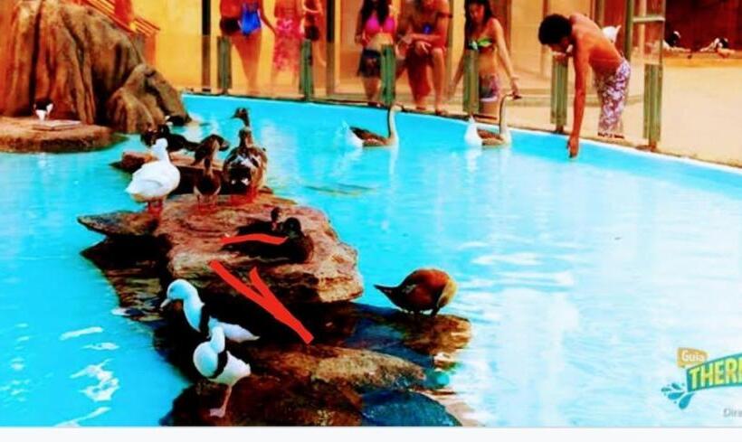 Olimpia Park Resort  Resort Em Olimpia