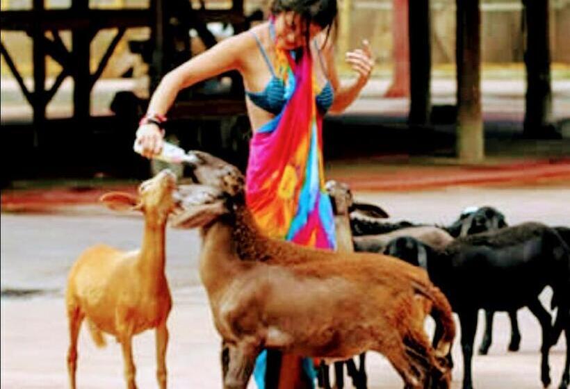 Olimpia Park Resort  Resort Em Olimpia