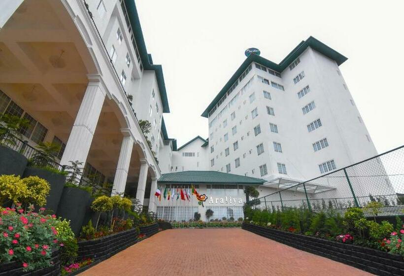 Araliya Red   Budget Friendly Hotel  Where You Find Stunning 360 Panoramic View Of Nuwara Eliya