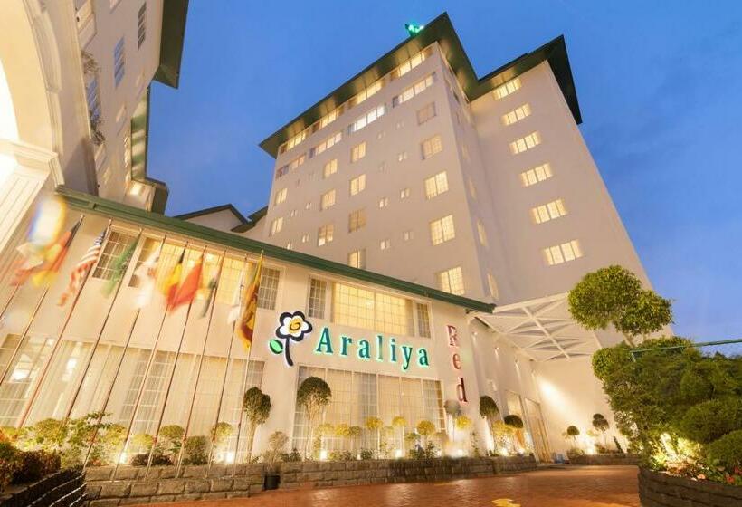 Araliya Red   Budget Friendly Hotel  Where You Find Stunning 360 Panoramic View Of Nuwara Eliya