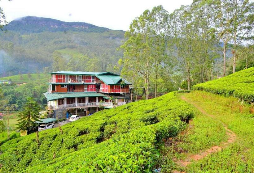 Hotel Grand Adamspeak Cabana Suite