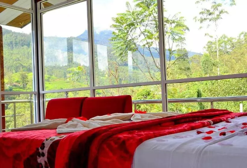 هتل Grand Adamspeak Cabana Suite