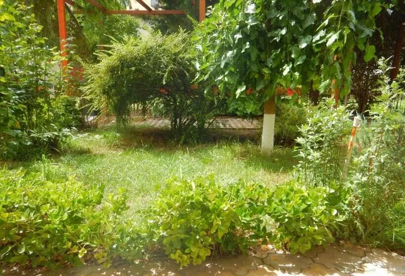 ペンション Casa Paloma