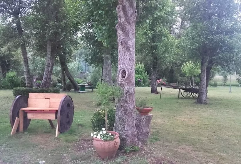 Отель Cabo Festiñanza