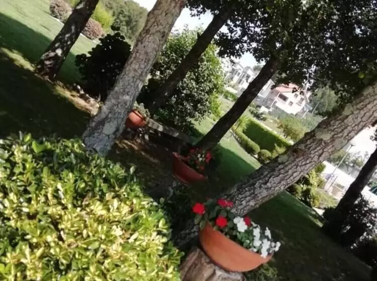 Отель Cabo Festiñanza