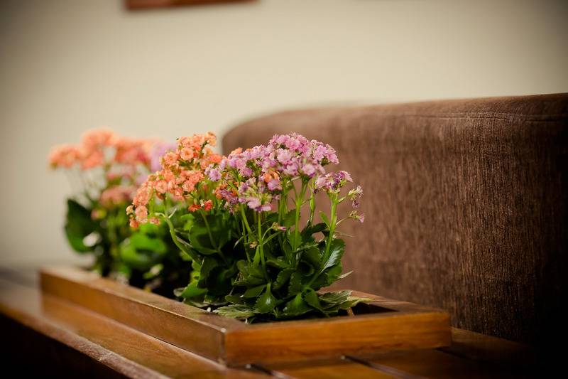 בית מלון כפרי Carppa