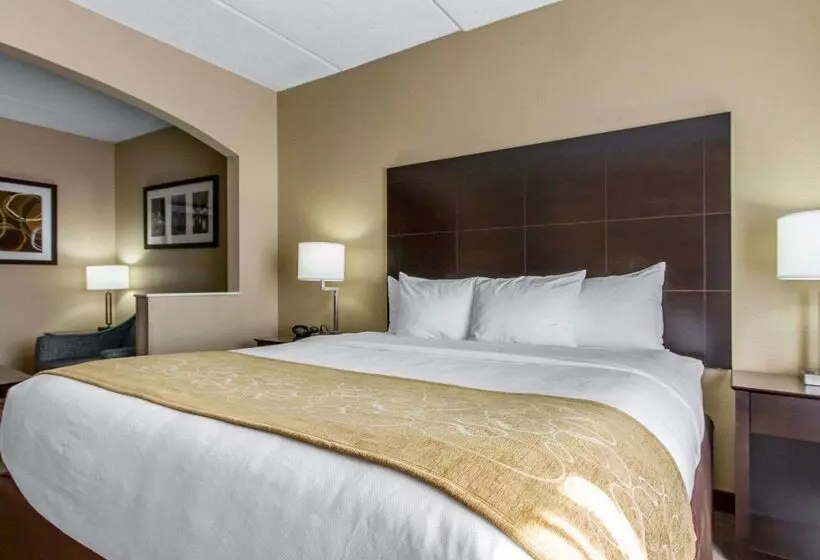 هتل Comfort Suites Airport