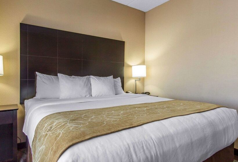 호텔 Comfort Suites Airport