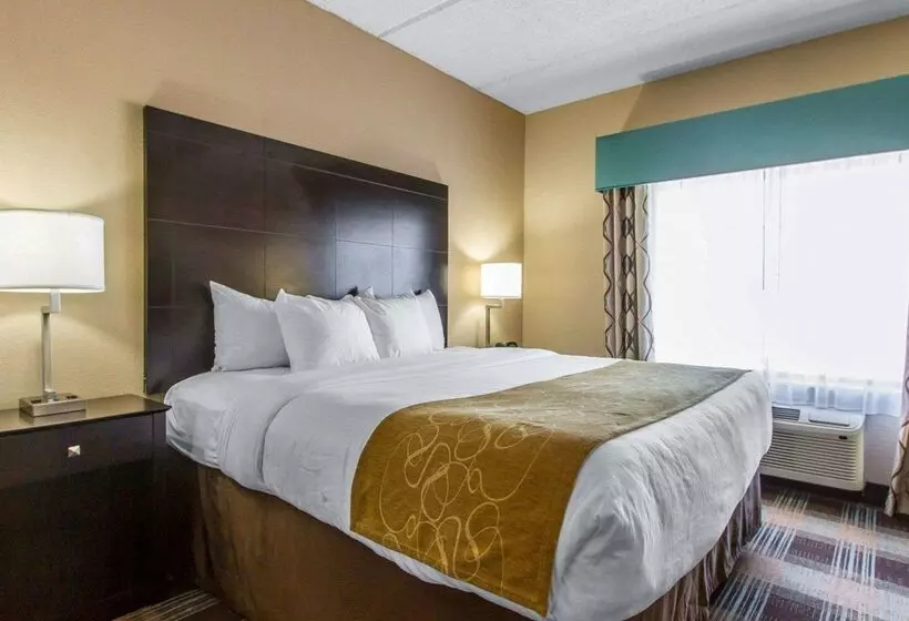 هتل Comfort Suites Airport