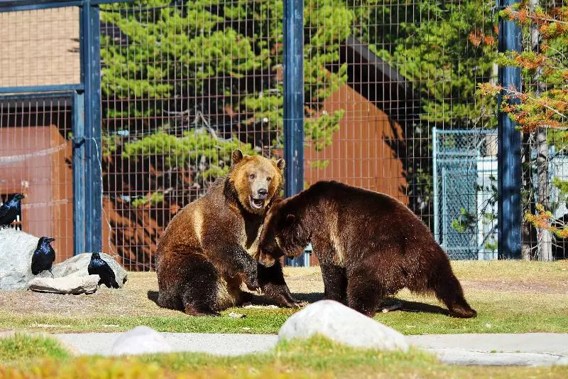 هتل Holiday Inn West Yellowstone, An Ihg
