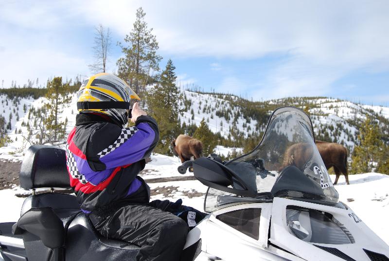 فندق Holiday Inn West Yellowstone, An Ihg