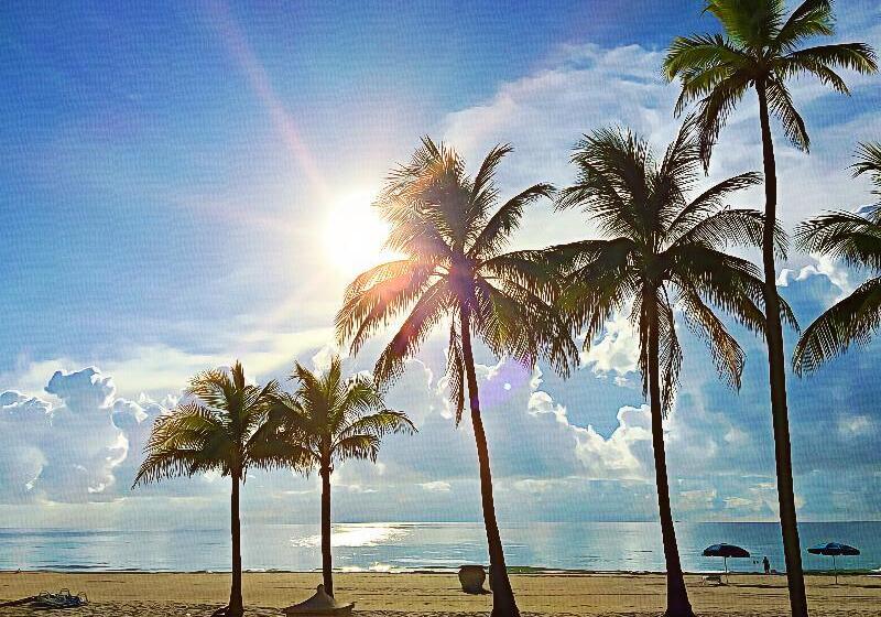 فندق Hollywood Beach Marriott