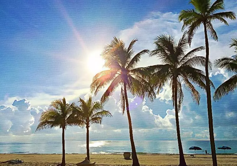 בית מלון כפרי Hollywood Beach Marriott