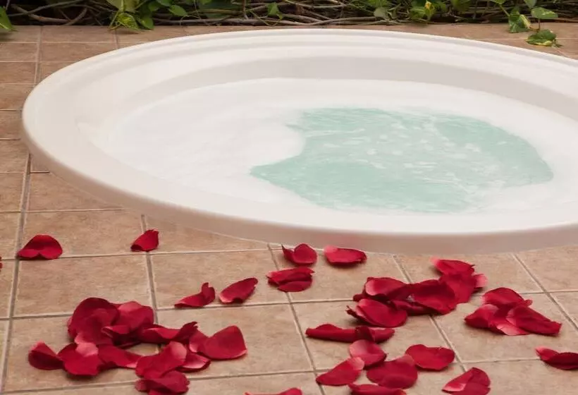 Royal Golden Hotel   Savassi