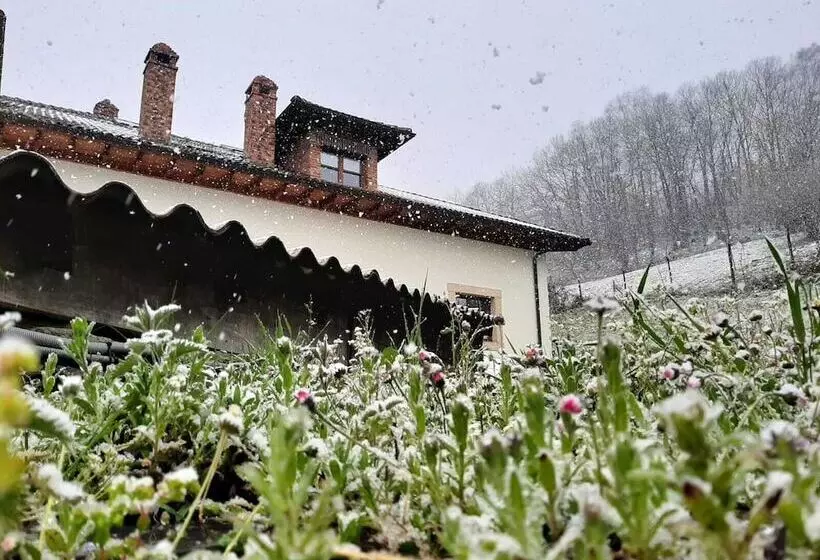 Hotel Rural Rural El Rexacu