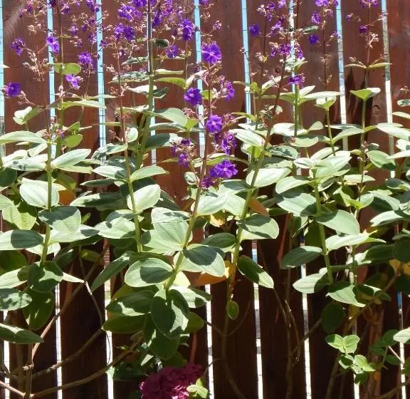 Retkeilymaja Esteños De La Pedrera Posada Y Spa