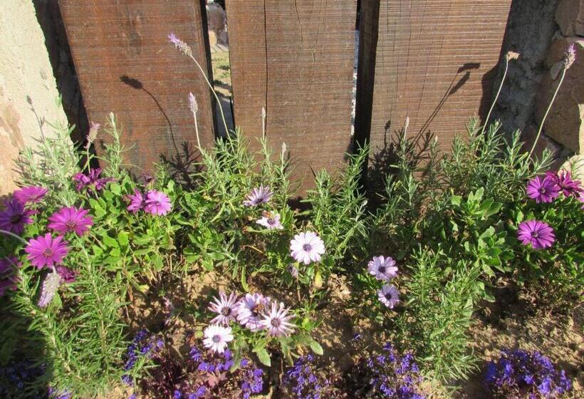 Общежитие Esteños De La Pedrera Posada Y Spa