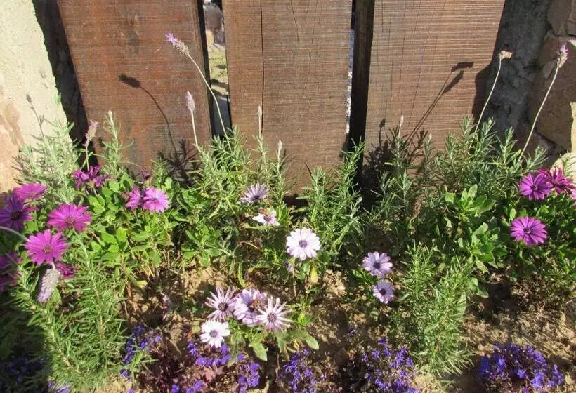 Retkeilymaja Esteños De La Pedrera Posada Y Spa