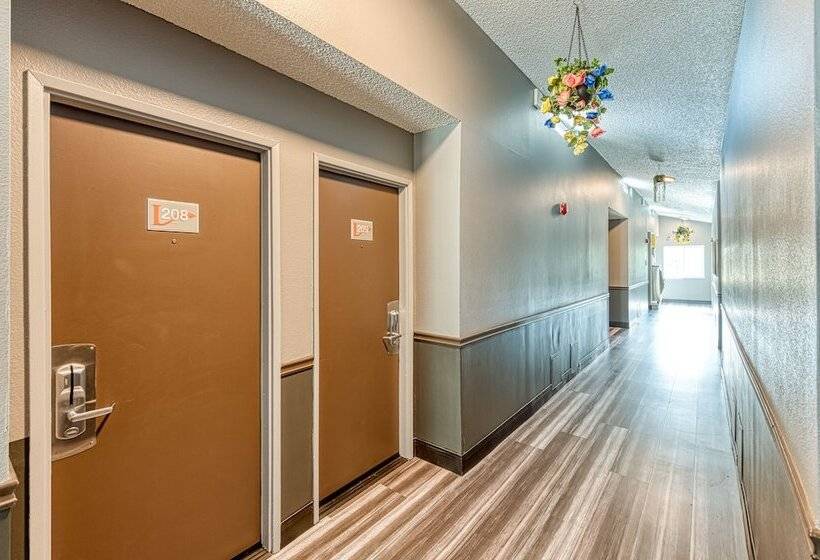 فندق صغير La Mirage Inn  Hollywood