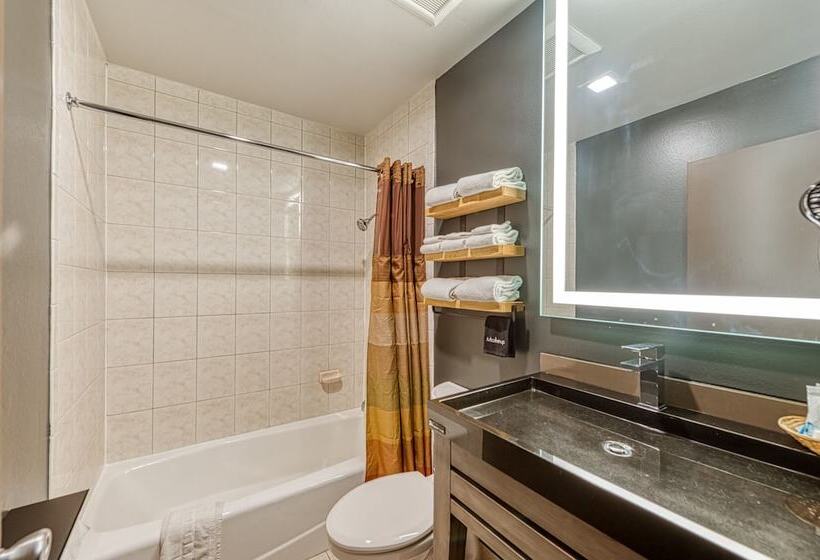 فندق صغير La Mirage Inn  Hollywood