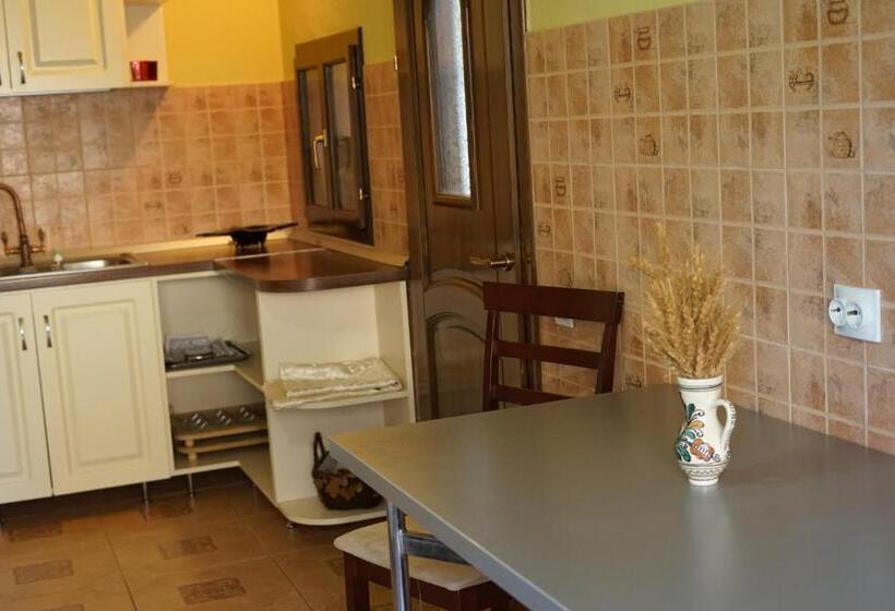 בית מלון כפרי Casa Ciortea Ana