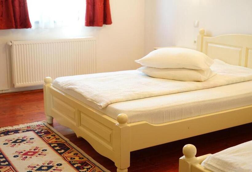 בית מלון כפרי Casa Ciortea Ana