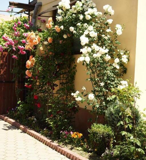 בית מלון כפרי Casa Ciortea Ana