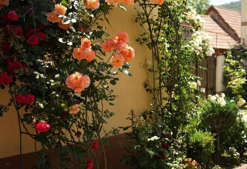 ホテル Casa Ciortea Ana