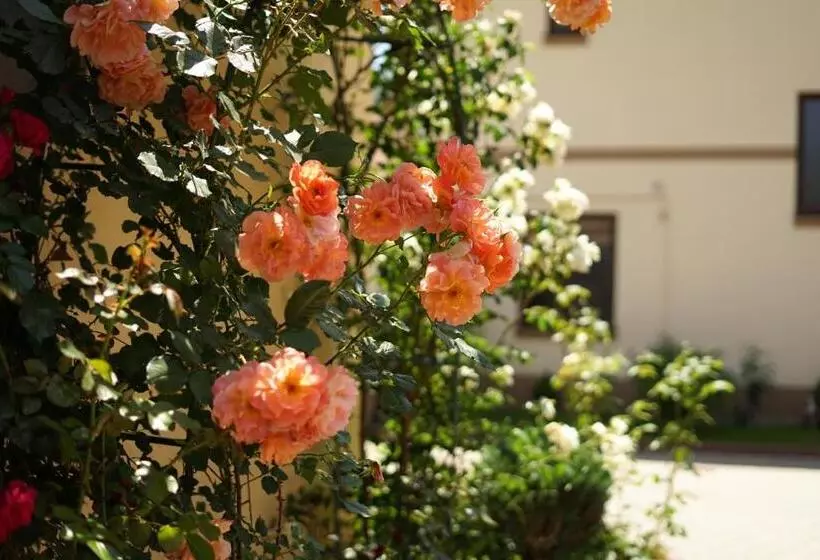 ホテル Casa Ciortea Ana
