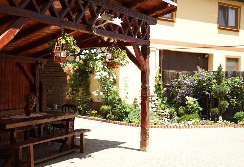 בית מלון כפרי Casa Ciortea Ana