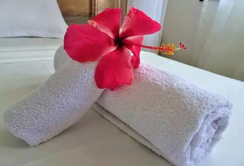 پانسیون Room In B&b   Watamu, Nestled Between Pristine Beaches And Lush Tropical Forest