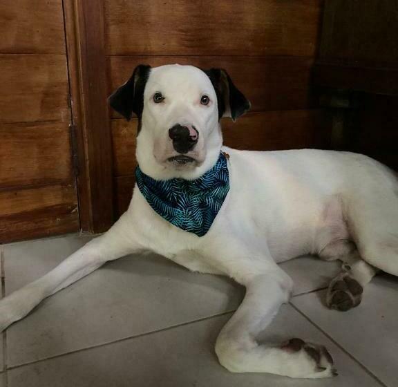 Casa Oceana Bed & Breakfast