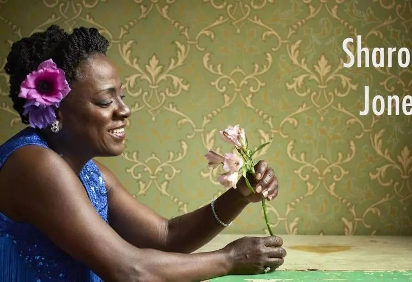 هتل The Harlem Flophouse